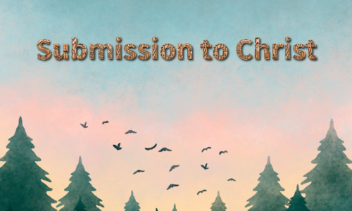 Submission to Christ